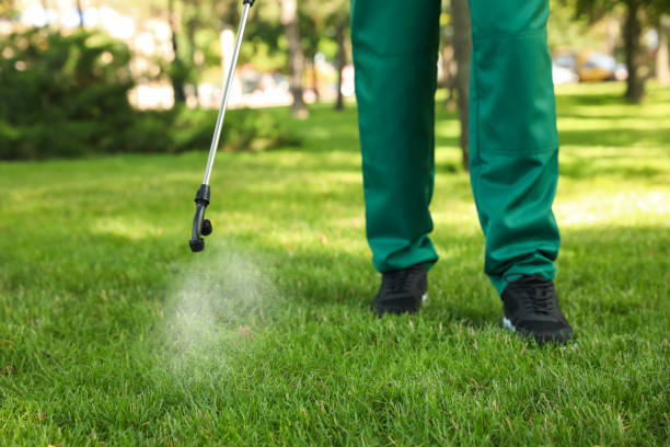 Best Pest Control for Homes  in Northampton, MA