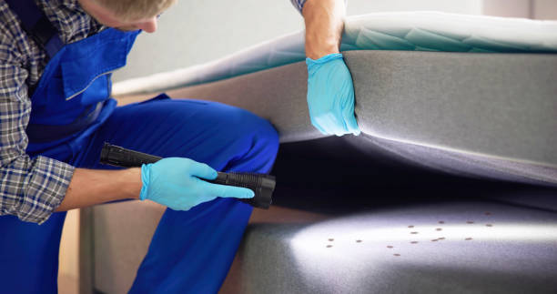 Best Exterminator Services  in Northampton, MA